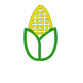 艾米